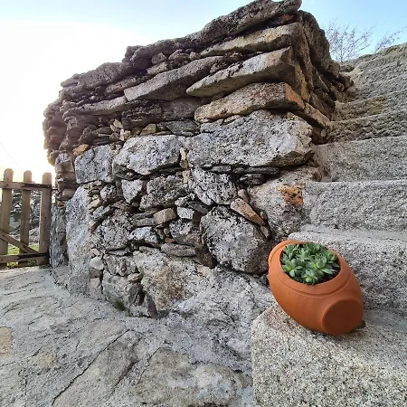 Cardenha Da Bessada *