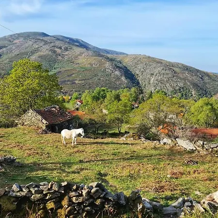 Cardenha Da Bessada 农家乐 Branda de Santo António