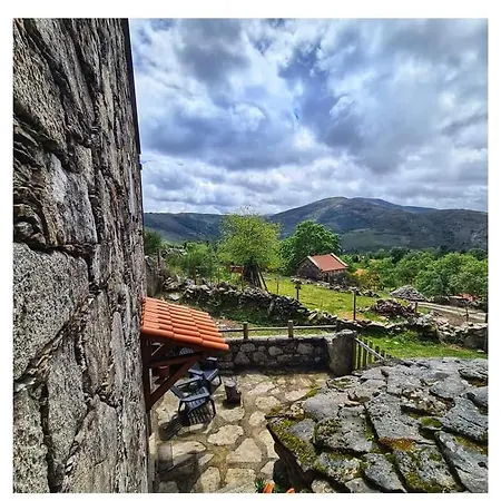 Cardenha Da Bessada *