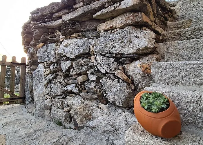 Cardenha Da Bessada *