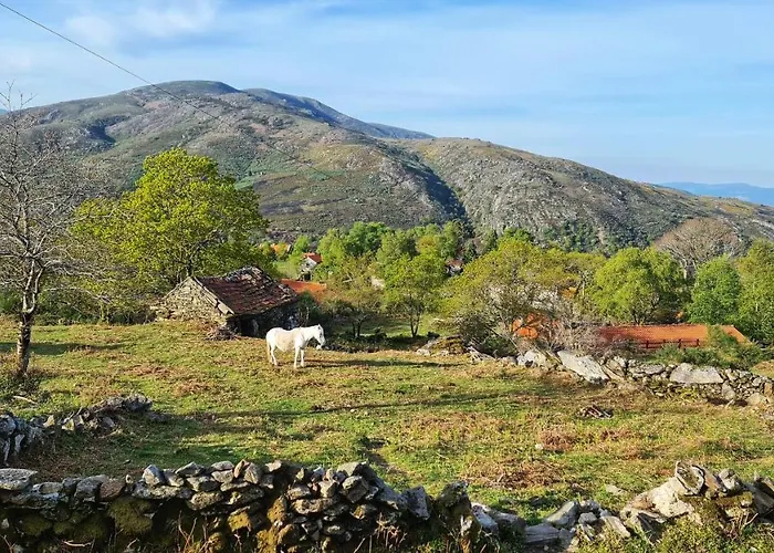 Cardenha Da Bessada Alloggio per agriturismo Branda de Santo António