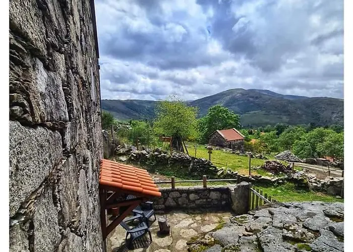 Cardenha Da Bessada *