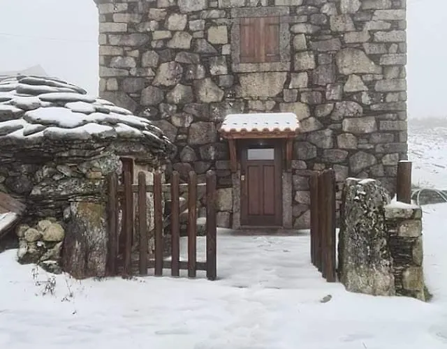 Cardenha Da Bessada *